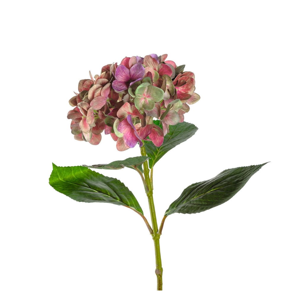 Leonardo 54cm Hortensie Poesia pink 018681