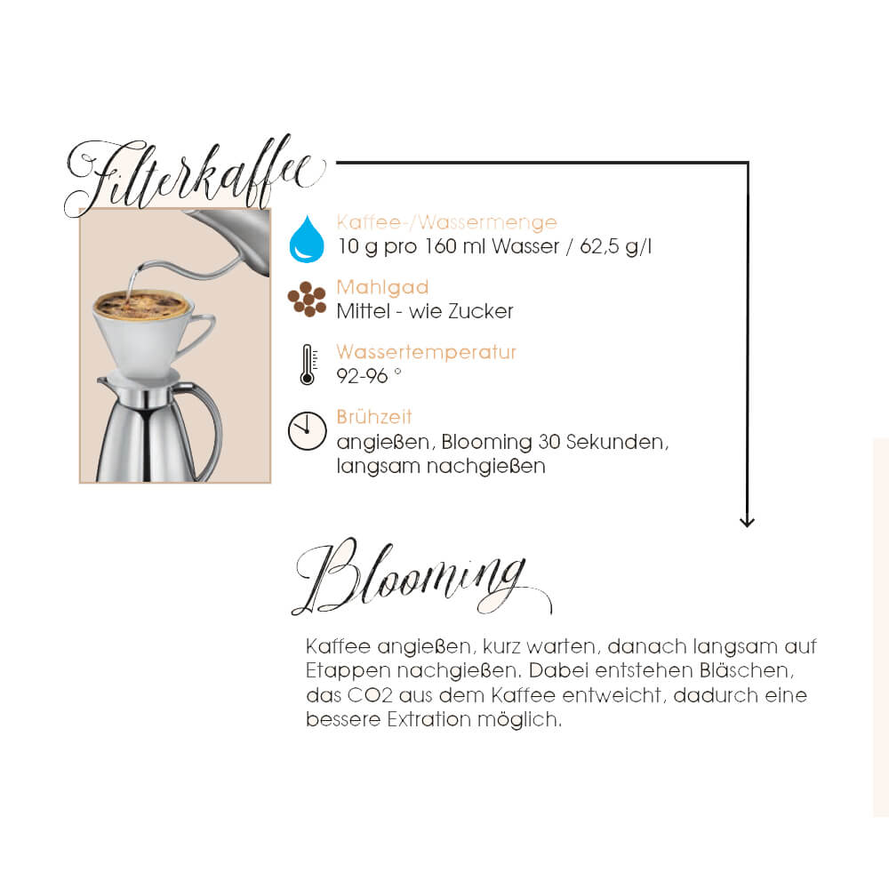 Cilio Kaffeefilter Größe 4 Keramik Anwendung.