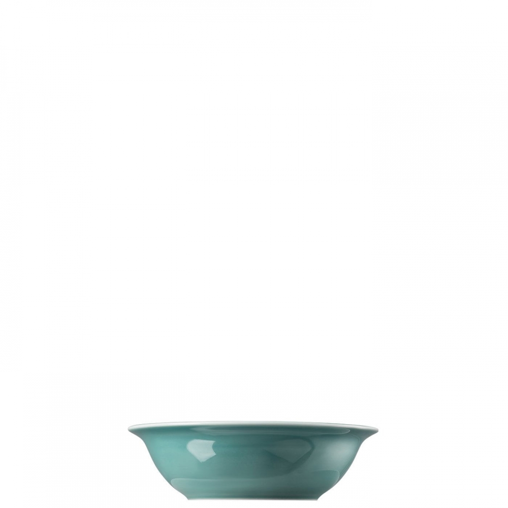 Thomas 500ml Bowl Trend Colour Ice Blue Porzellan