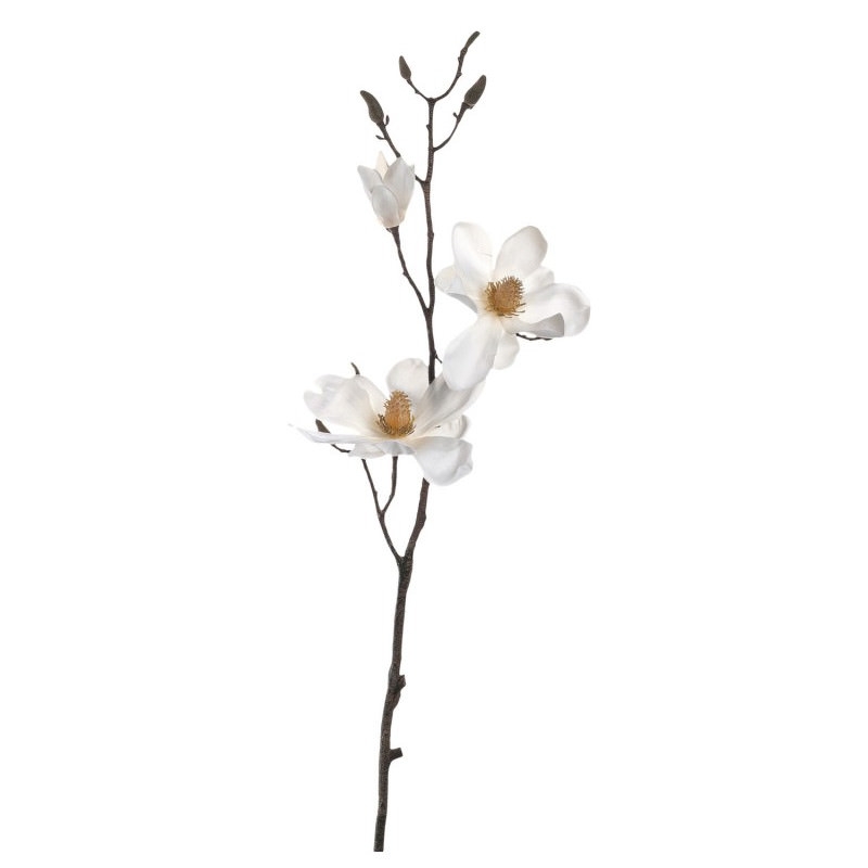 Leonardo 031693 Magnolie 80cm Fiore mehrfarbig Dekoblume Magnolienzweig