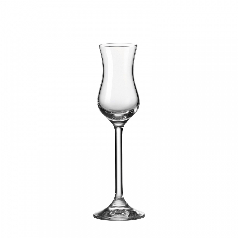 Leonardo 100ml Grappa Glas Daily 063319 Teqton aperitifglas